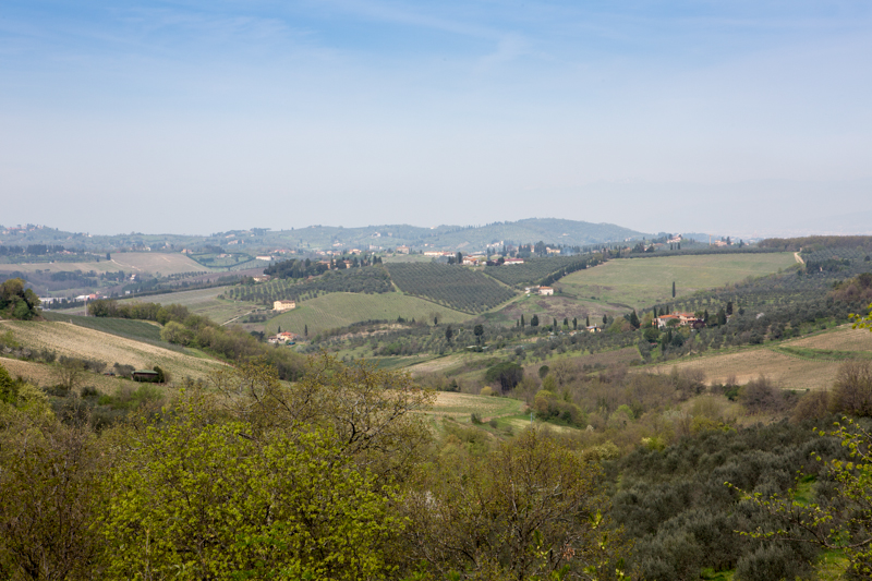 Mondeggi, aprile 2015. La collina di mondeggi vista da sud-est. © Federico Barattini