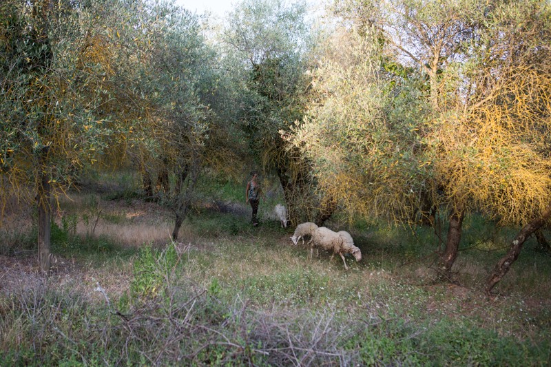 The Land is a Community